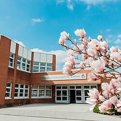 Leadership Position magnolia