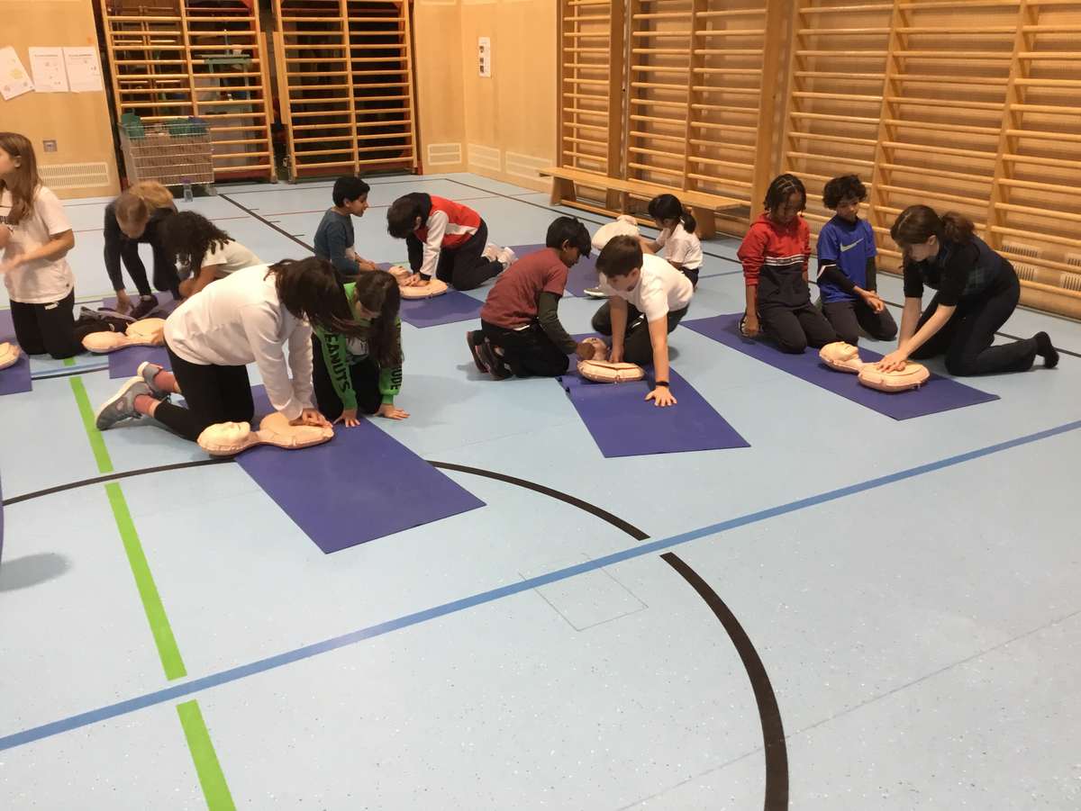 First Aid Course in Grade 5 Vienna International School